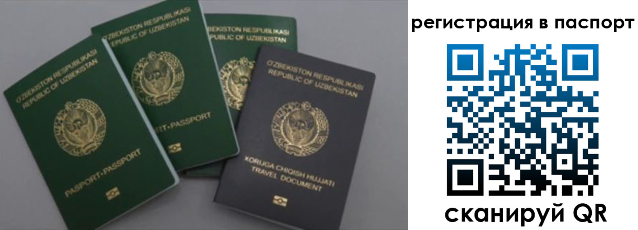 прописка от собственника в Железногорск-Илимском